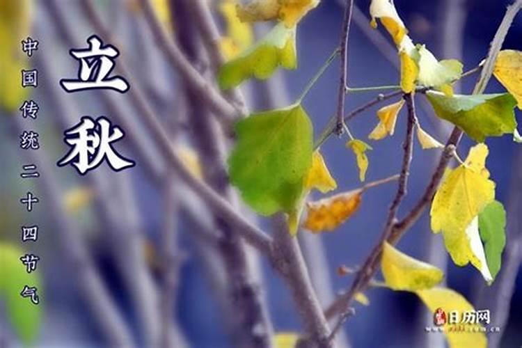 几月几号冬至几点立秋？