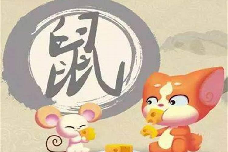 卯兔子鼠能合婚吗？