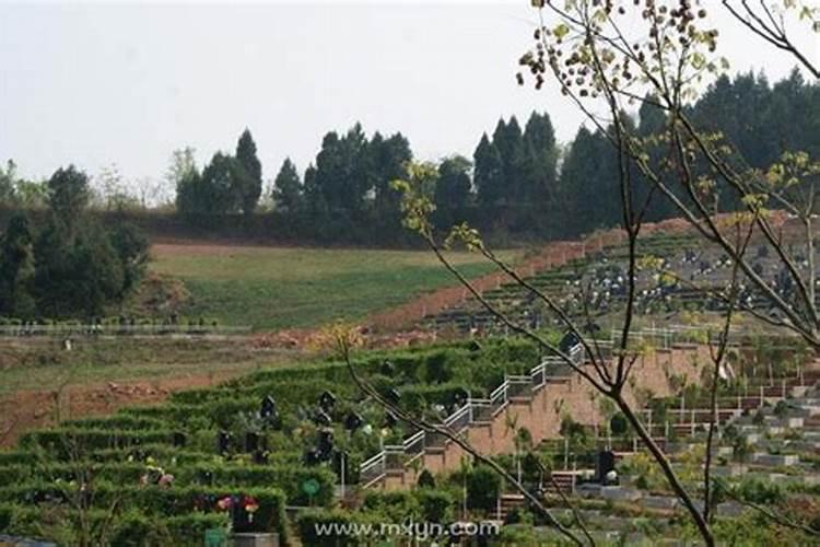 梦见路过坟地有什么意思？