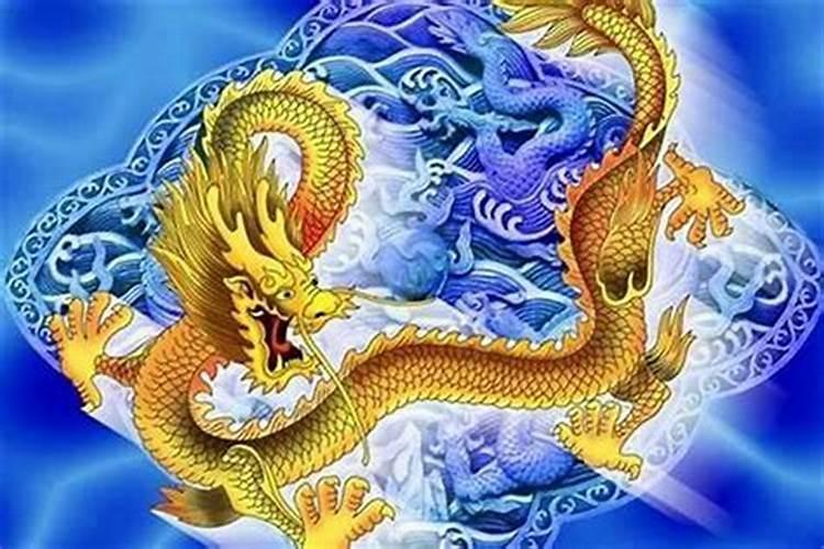 属龙