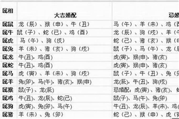 属相男和属什么婚配？