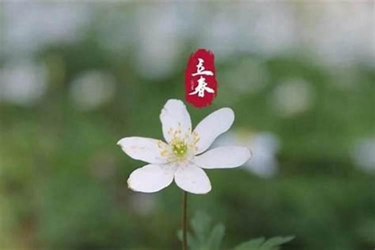 避太岁最佳时间是多少天？
