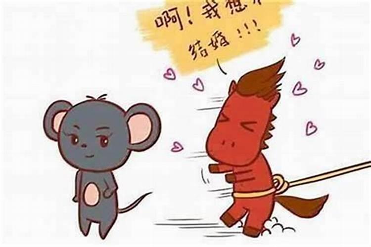 属相婚配男鸡女鼠怎么化解？