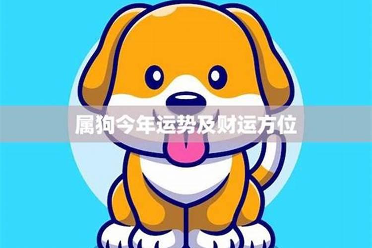 八二年的狗今年的运势如何？