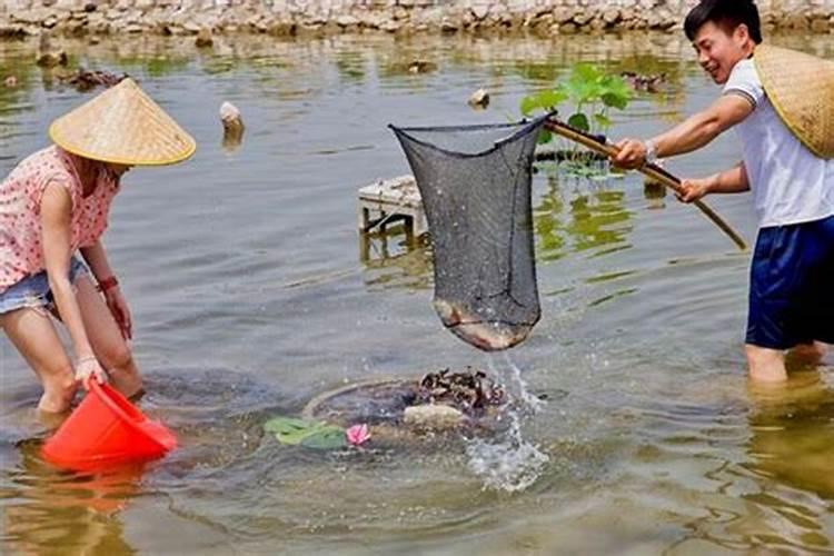 梦到在鱼塘里抓鱼是什么意思？