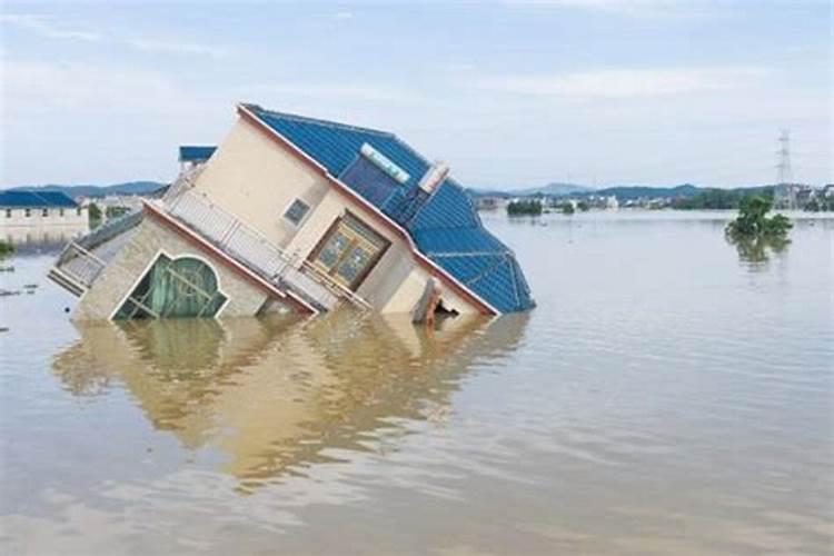 梦见洪水上涨淹没大树