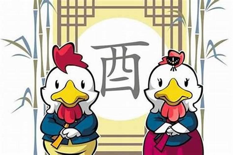属兔女和属鸡男合婚吗？