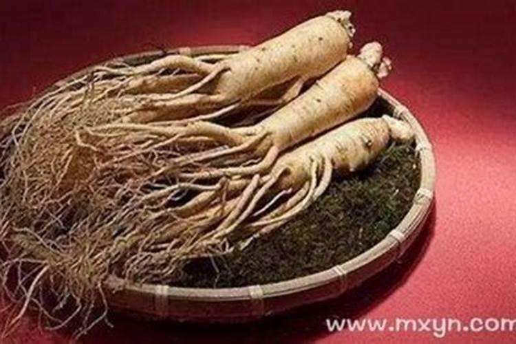 梦见人参什么意思？