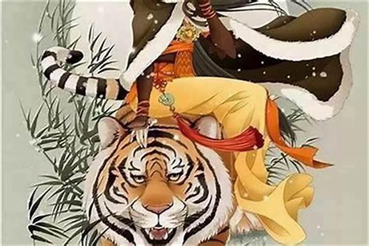 属虎的今年犯太岁怎么解？