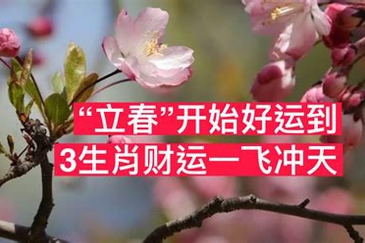 立春前的财运