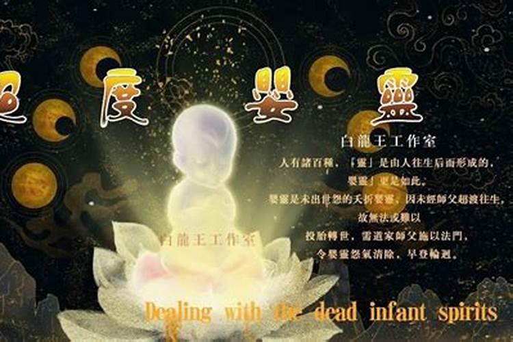 堕胎的婴灵投生为猫