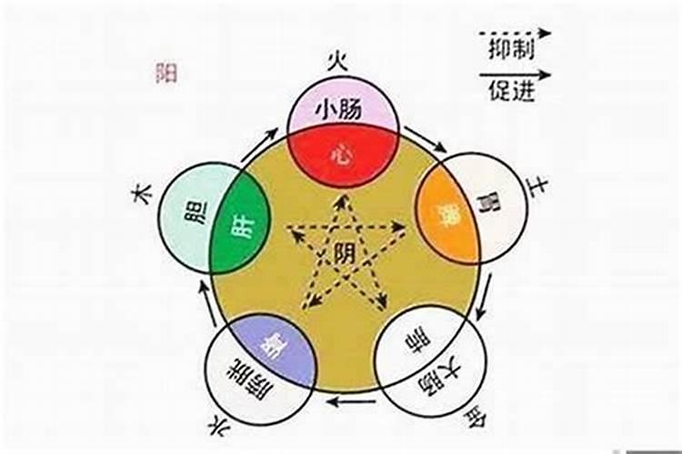 如何看自己的八字是什么属性？