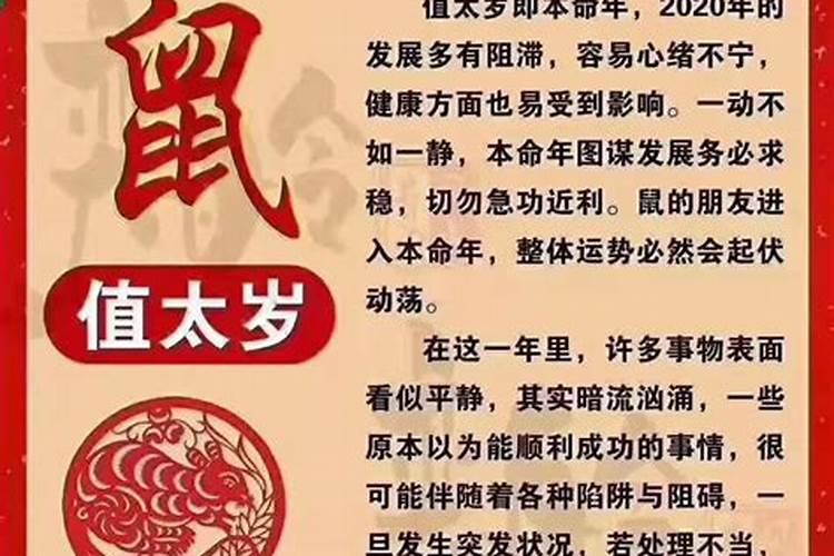 冲太岁是怎么意思？