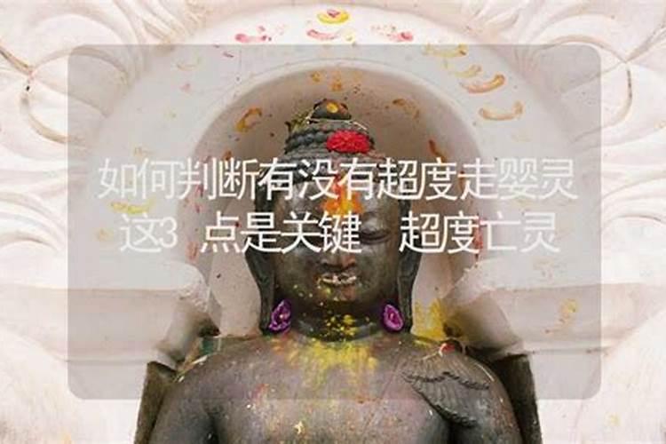 没有超度婴灵怎么办？