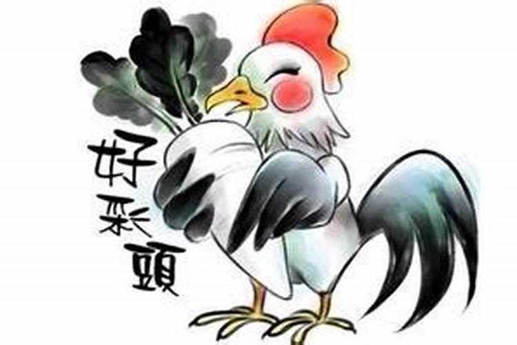鸡年生的在今年的运势怎么样？