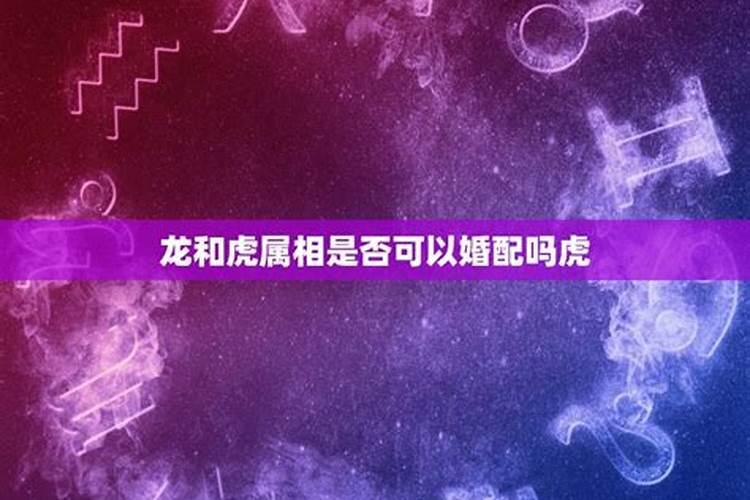 龙和虎属相是否可以婚配吗？