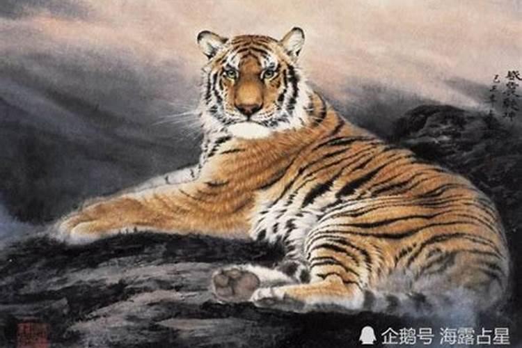 1986什么命？
