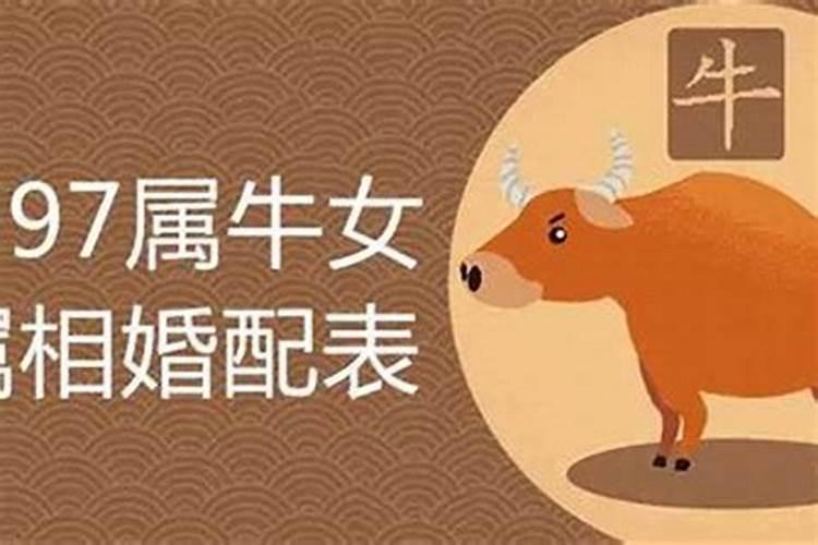 属牛的人跟属什么的合婚？