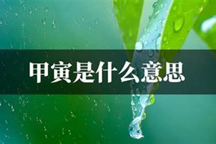 甲寅日是什么意思？