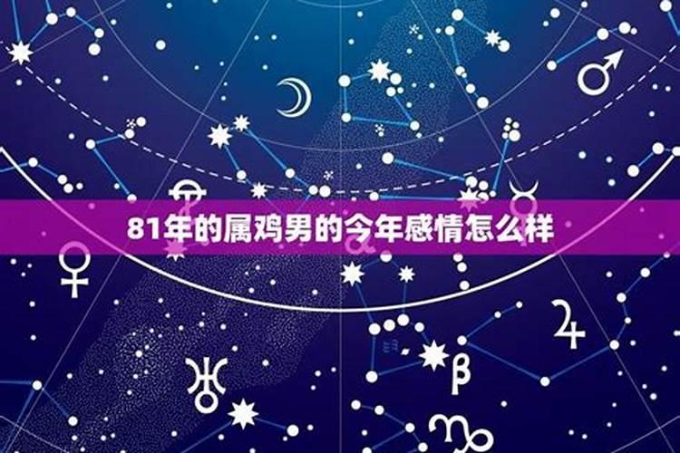 1984年男属的感情运势如何？