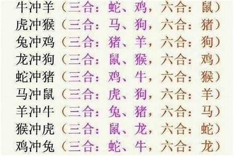 龙虎属相婚配相冲吗？