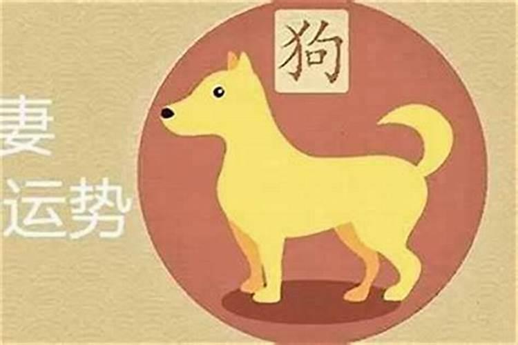 94年跟99年八字合吗？