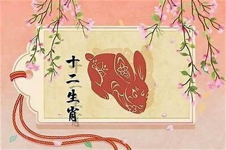 属兔女一生什么运势？