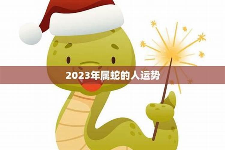 属蛇人2025年的运势怎样？