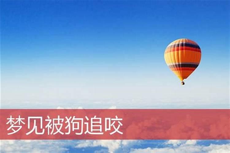 梦见狗追着咬是怎么回事？