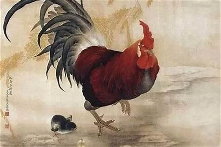 属鸡的找属鸡的合婚吗？