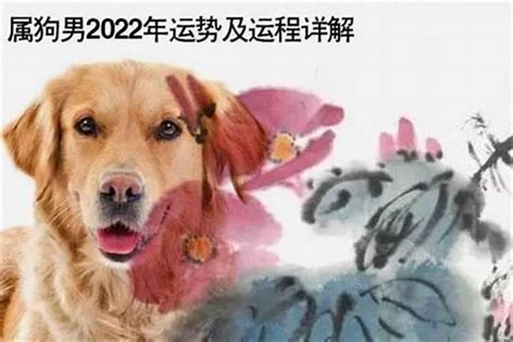 1982年水狗2025年运程