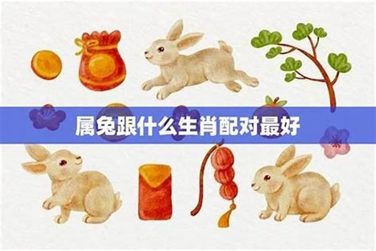 生肖兔三处有痣