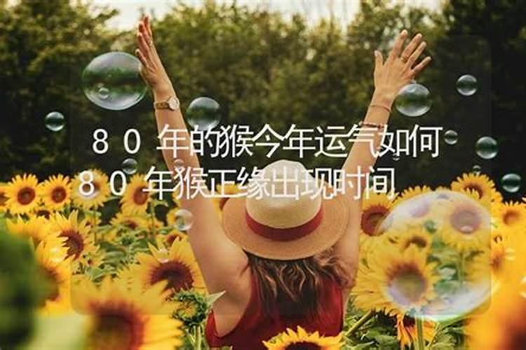 80岁今年的运势如何？