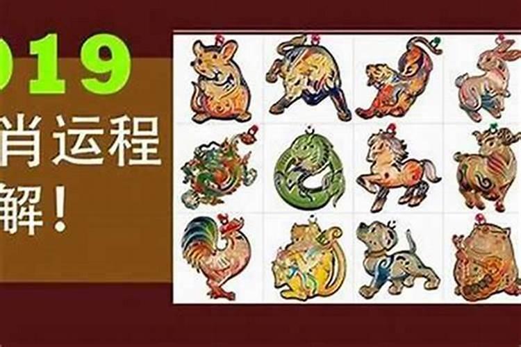 45岁今年属虎的运程