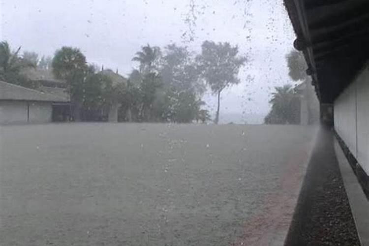 梦见瓢泼大雨预示什么？