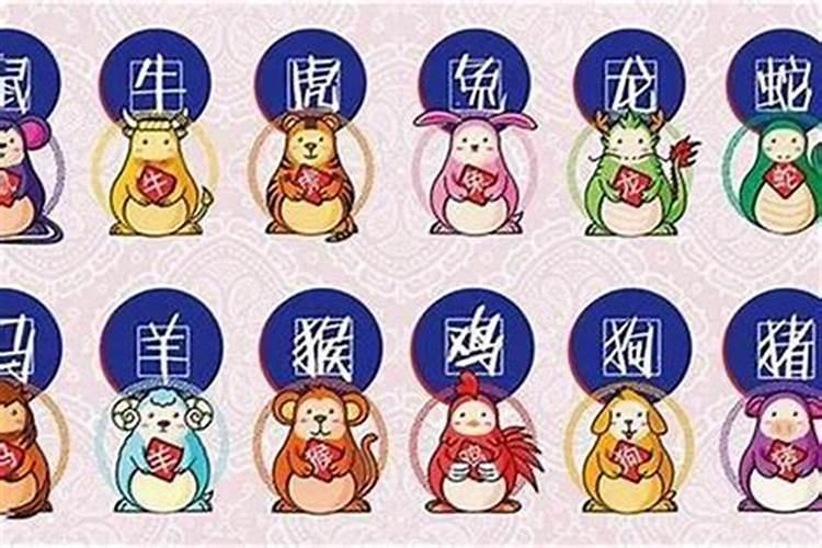 2025年月份生肖运程如何？