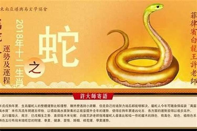 属蛇女今年感情运势