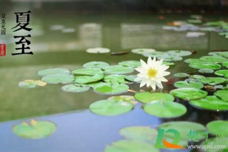 夏至是哪一天代表什么？