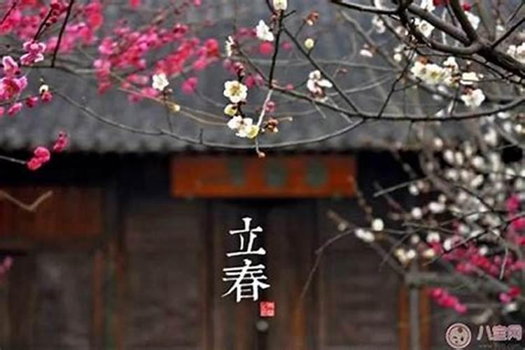 2025年立春怎么转运？