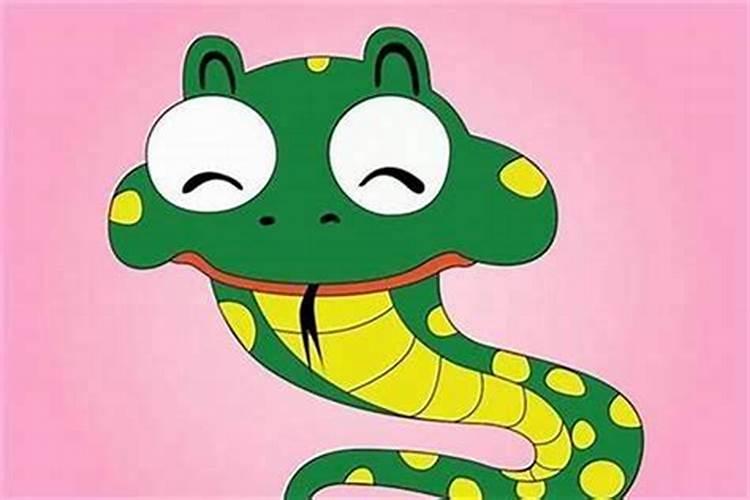 属猴跟属属蛇的合婚吗？