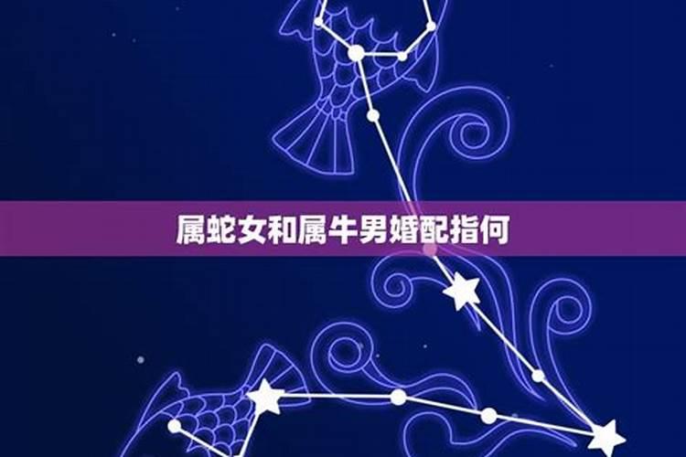 属牛男和属蛇女合婚吗？
