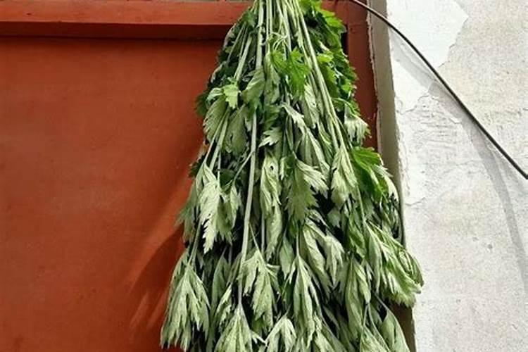 端午节应该把艾叶放在哪里？