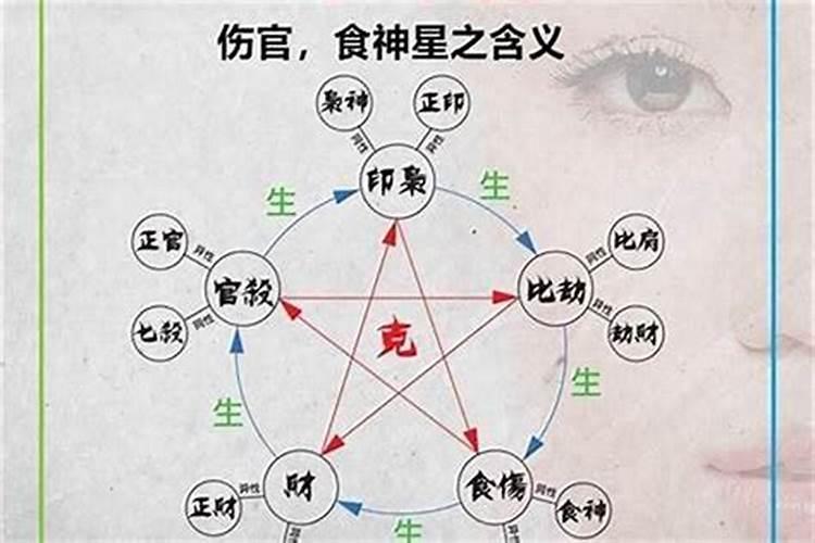 什么八字适合走食伤运？