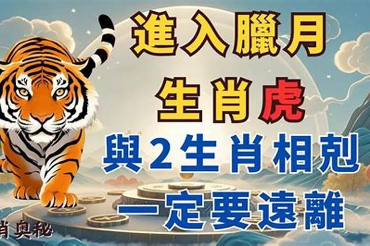 2025兔和虎运势如何？