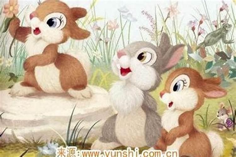 属兔犯太岁能结婚吗？