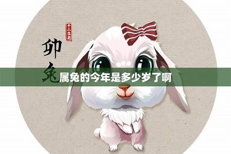属兔的今年正月十五几岁？