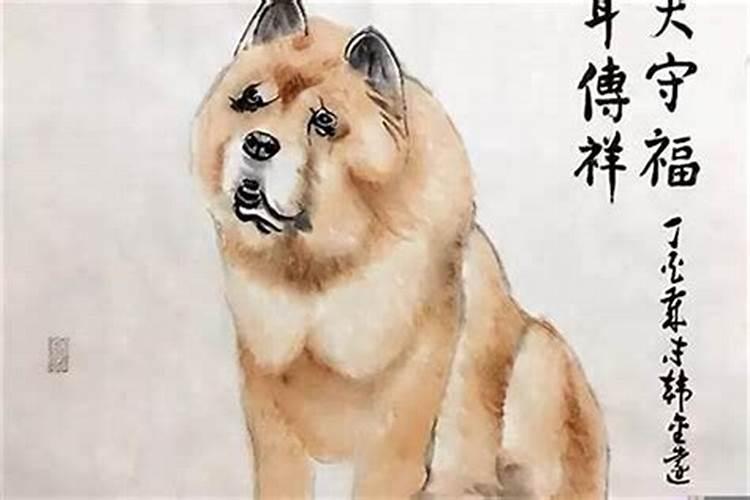 1982年农历7月女狗一生运程