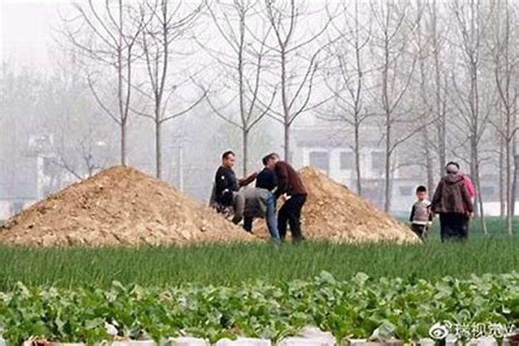 清明节上坟可以填土吗？
