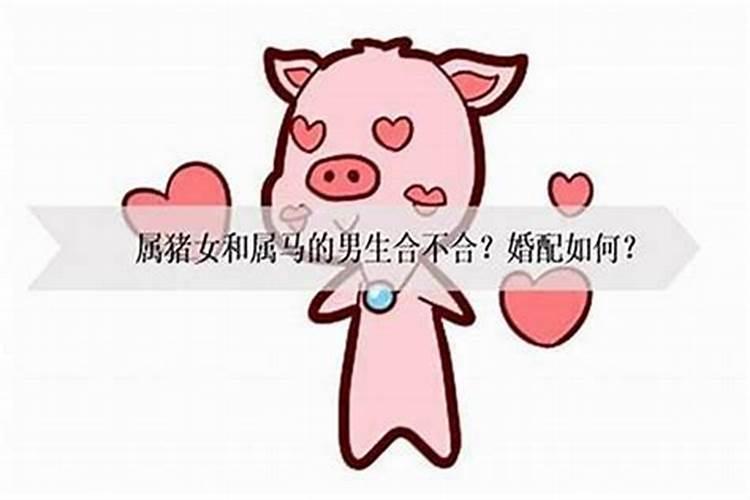 男猪最好的婚配属相有哪些？