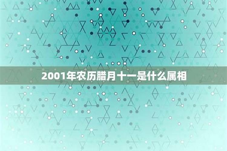 2001腊月十一出生的人